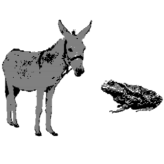 A donkey and a toad rendered in low-resolution monochrome with a dithering pattern that resembles scanlines. They stand before a blank background that is the color of a pale sky.