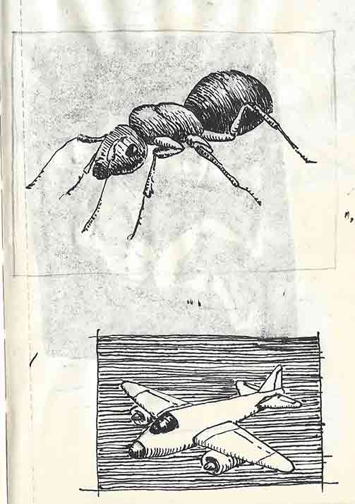 Two small pen and ink drawings, one of an and (the insect) and another of an airplane, from a small notebook.