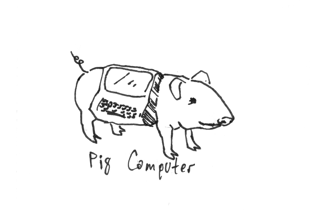 A pig computer.